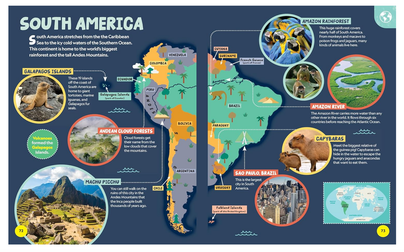 National Geographic Little Kids First Encyclopedia of Almost Everything