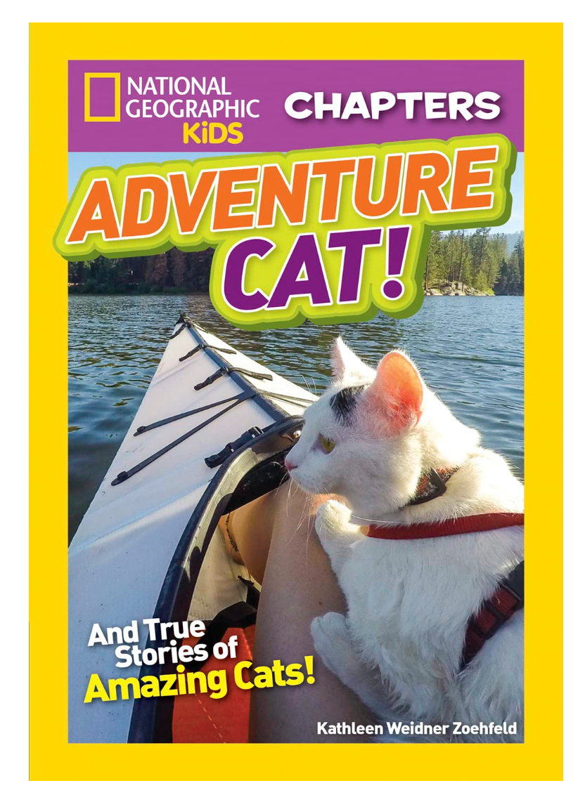 National Geographic Kids Chapters Adventure Cats