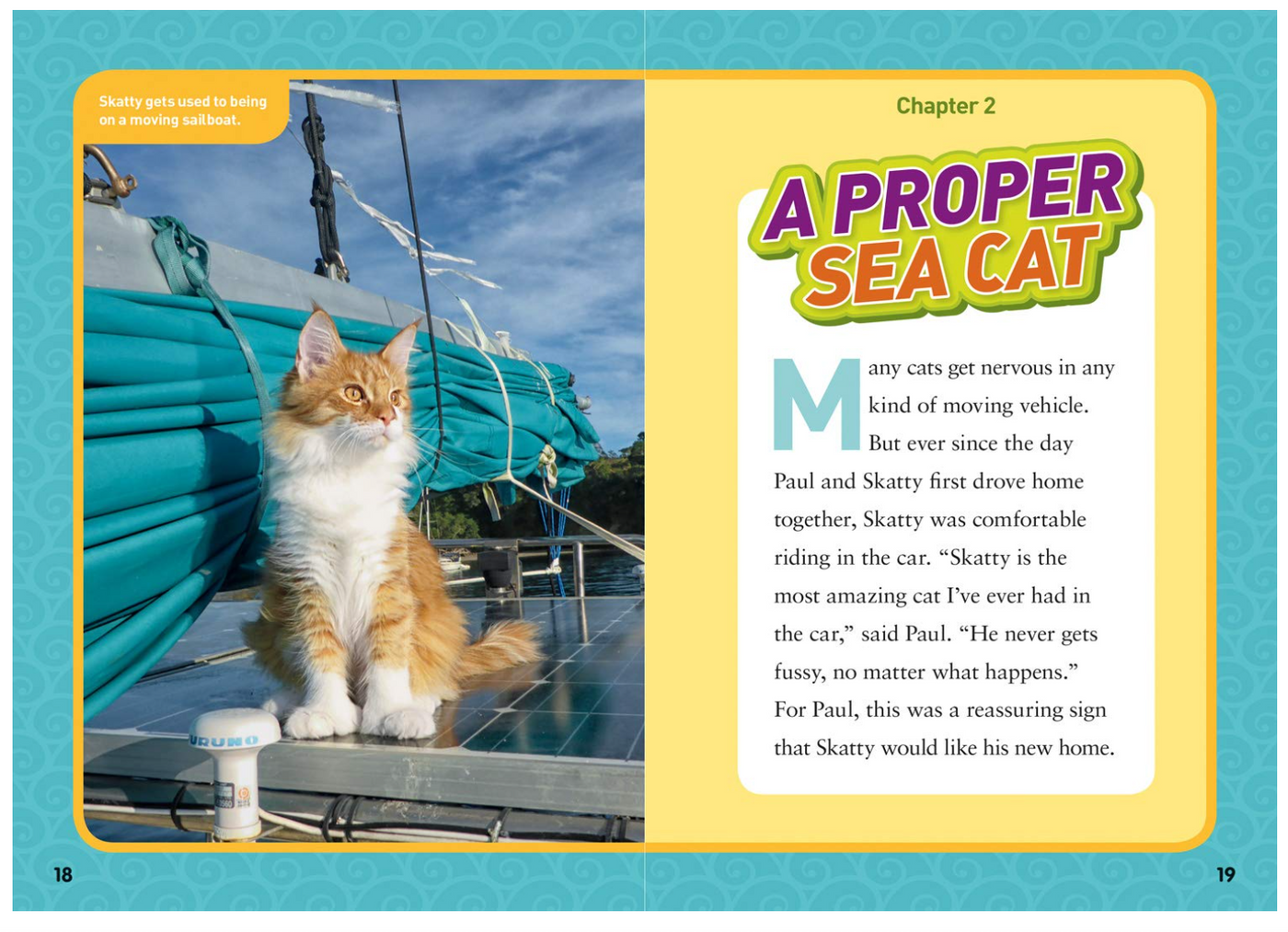 National Geographic Kids Chapters Adventure Cats