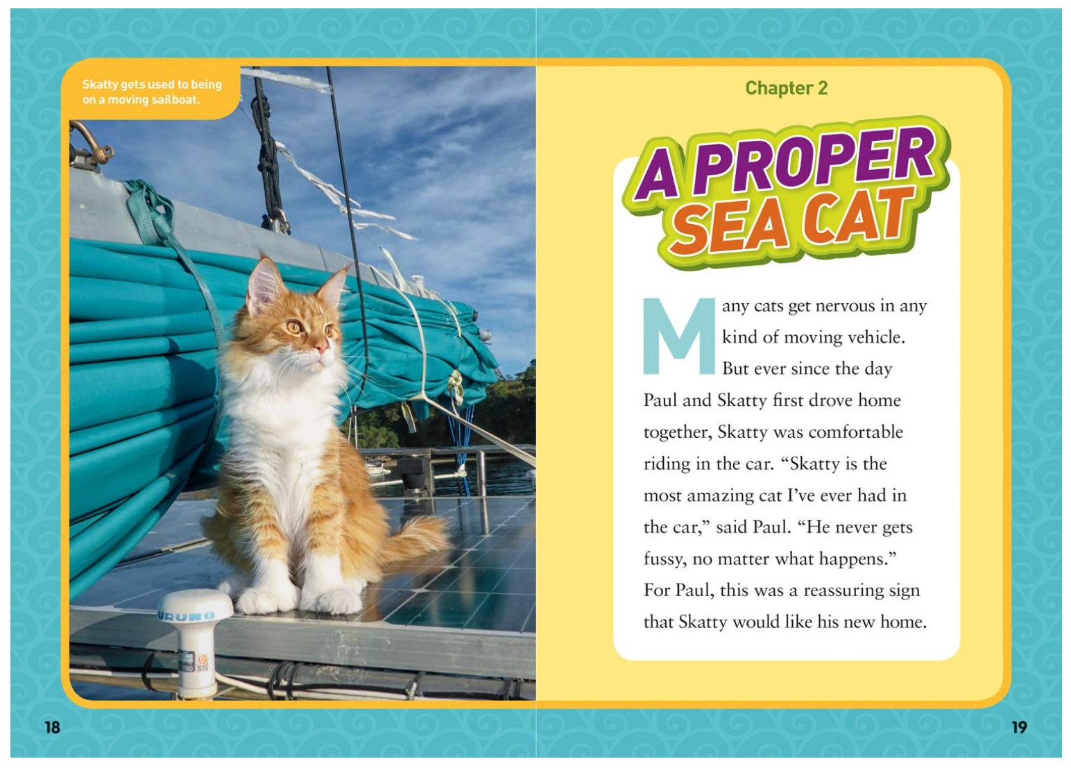 National Geographic Kids Chapters Adventure Cats