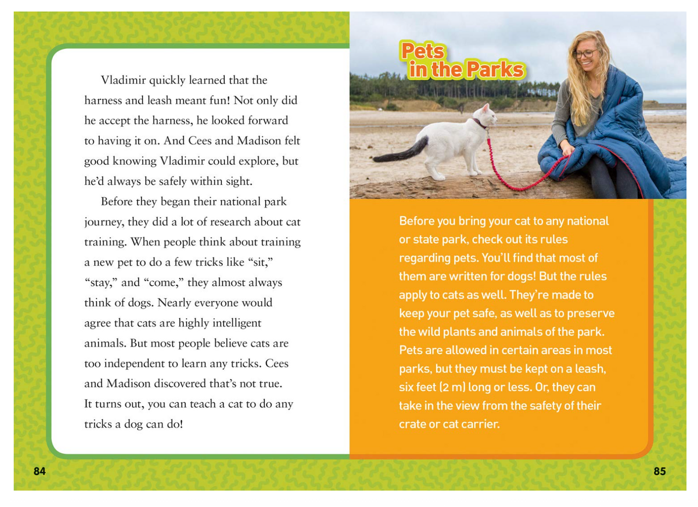 National Geographic Kids Chapters Adventure Cats