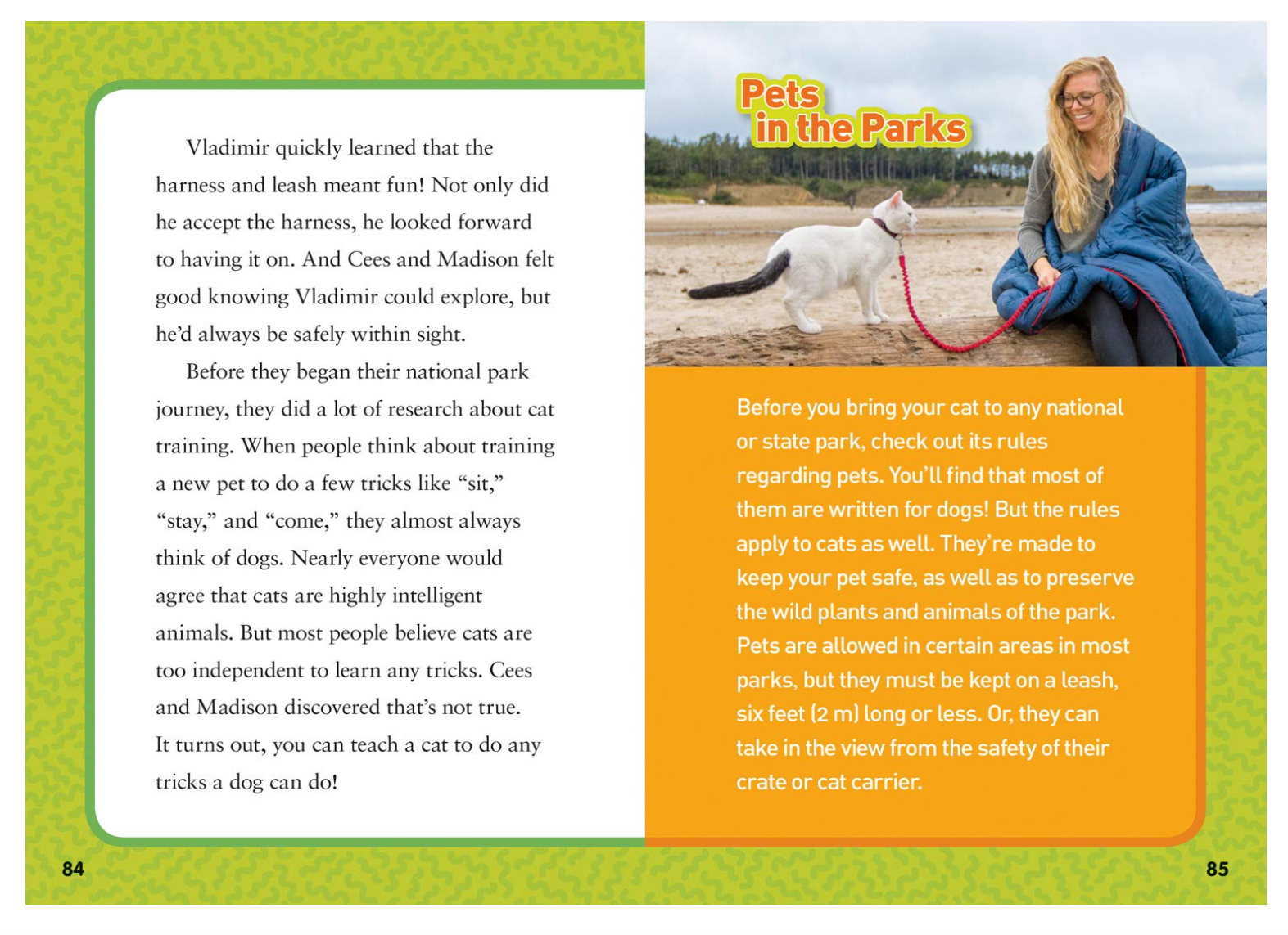 National Geographic Kids Chapters Adventure Cats