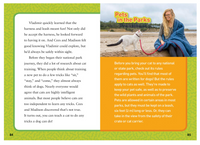 National Geographic Kids Chapters Adventure Cats