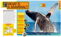 National Geographic Kids Animal Encyclopedia 2nd Edition