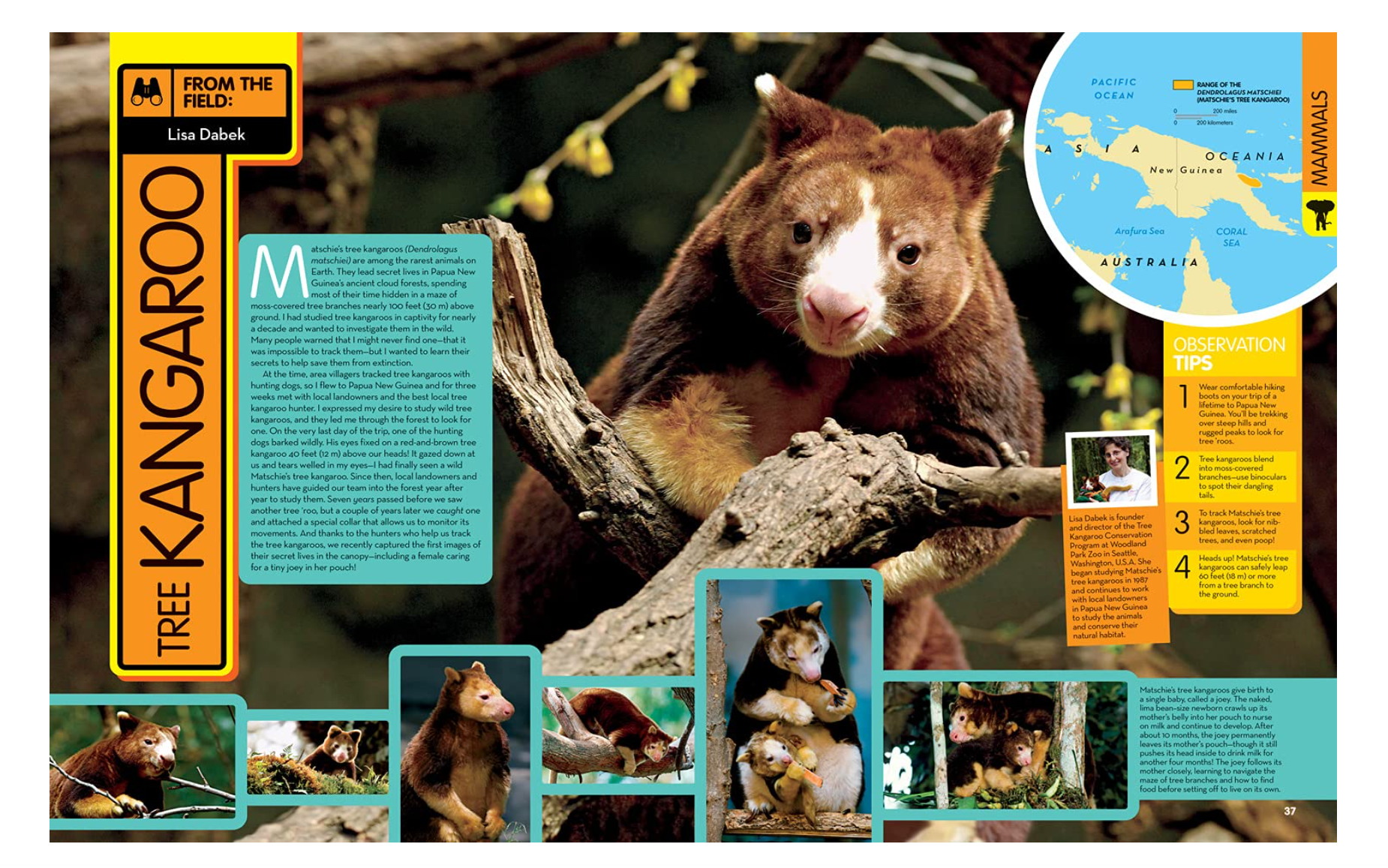 National Geographic Kids Animal Encyclopedia 2nd Edition