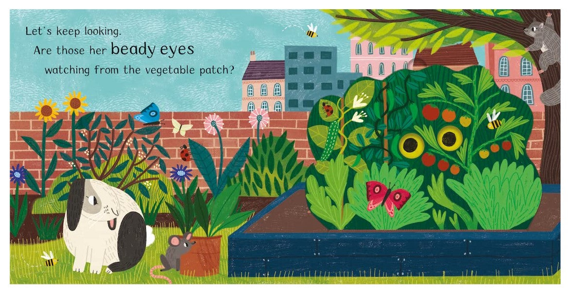 Hannah Abbo Where Is Little Kitten A Lift The Flap Book