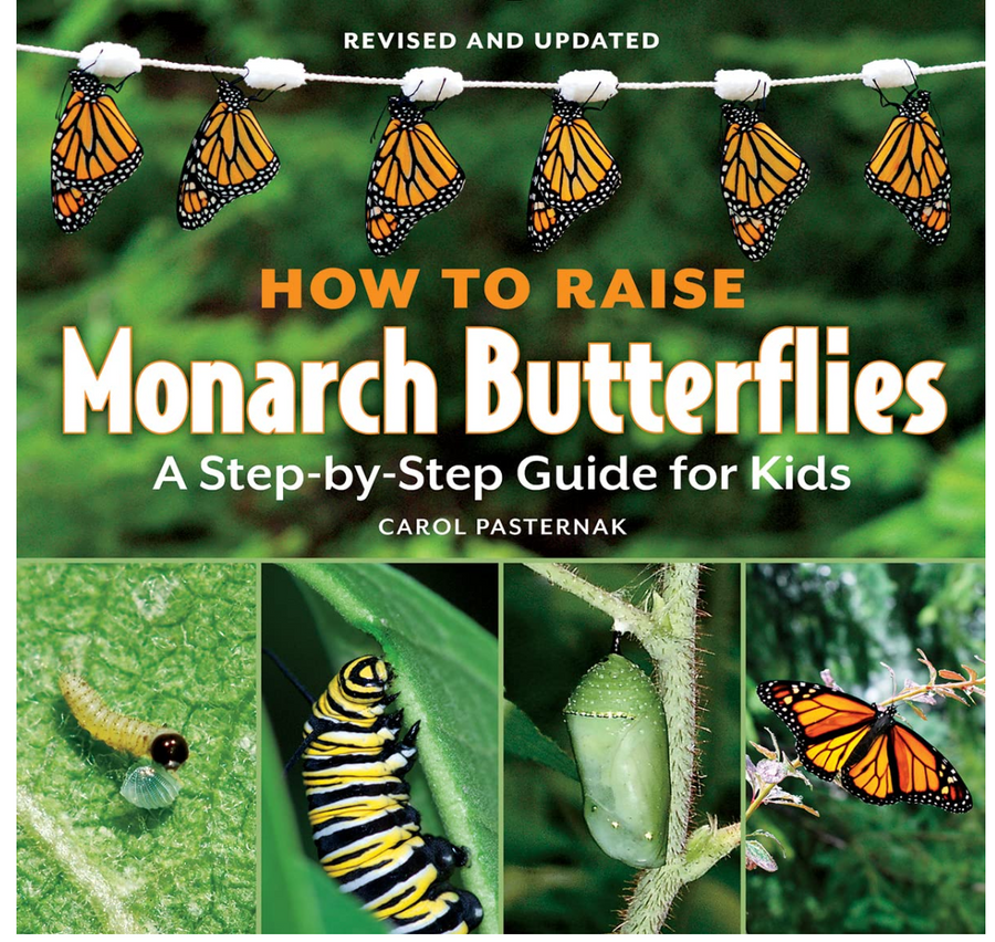 How to Raise Monarch Butterflies : A Step-by-Step Guide for Kids