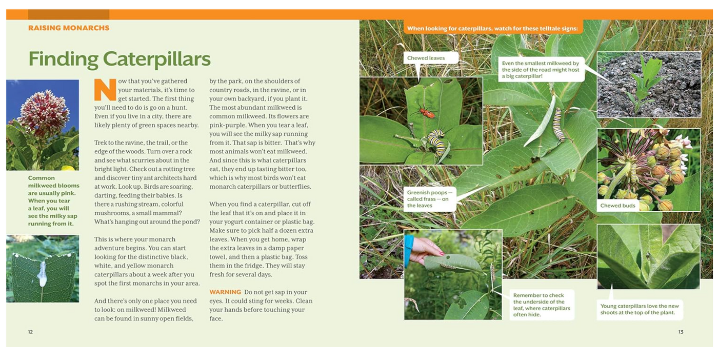 How to Raise Monarch Butterflies : A Step-by-Step Guide for Kids
