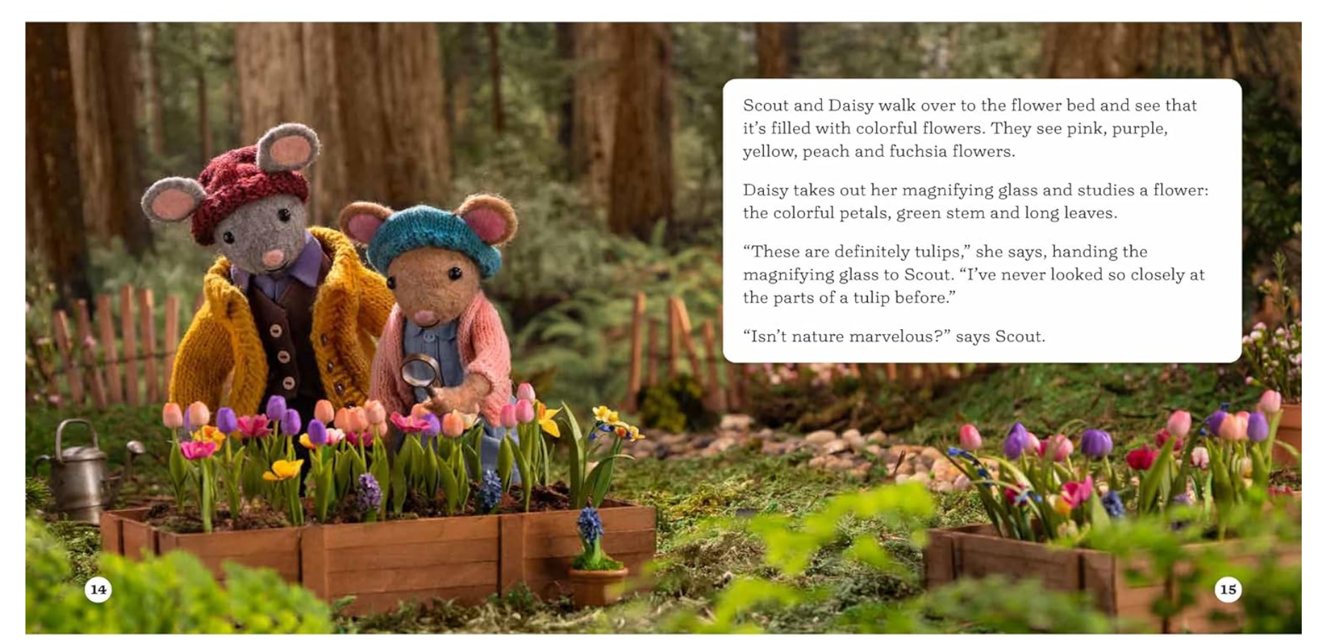 Case of the Buried Treasure : A Gumboot Kids Nature Mystery