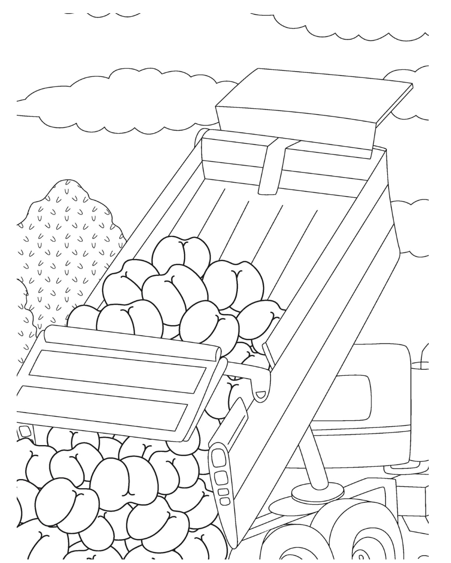 Val Brains The Ultimate Butt Coloring and Activity Book