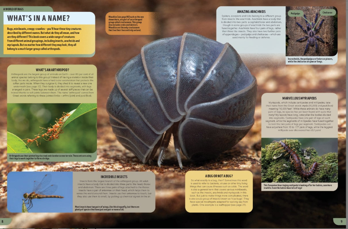Lonely Planet Kids The Bugs Book