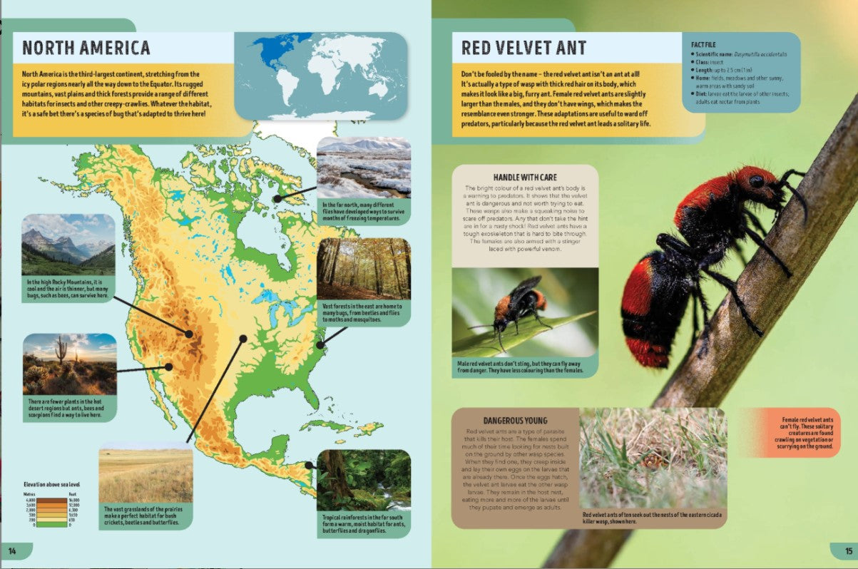 Lonely Planet Kids The Bugs Book