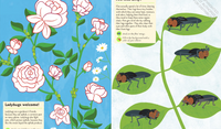 My Nature Garden Insects & Bugs Sticker Activity Book