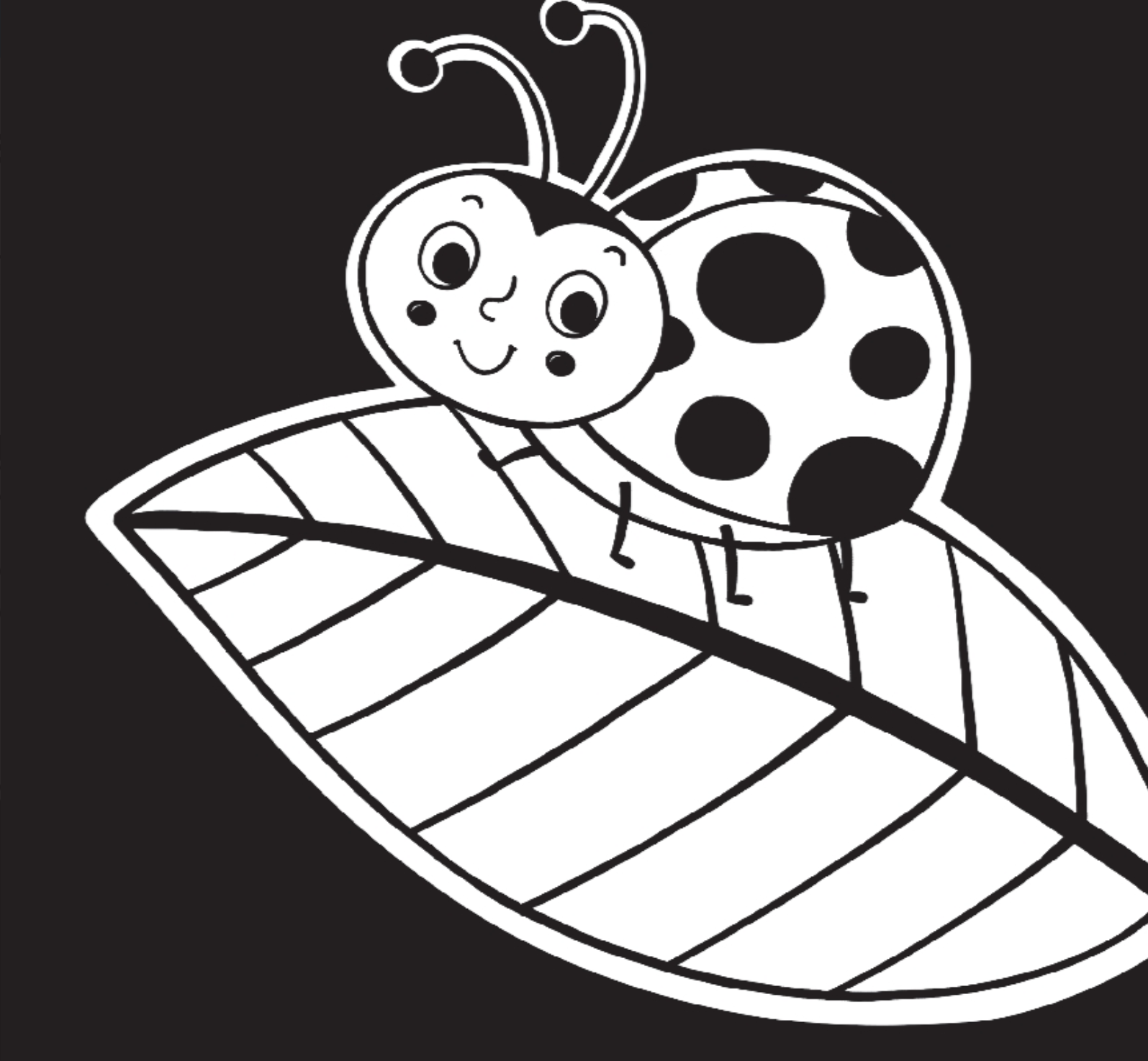 A High Contrast Book Hello Garden Bugs