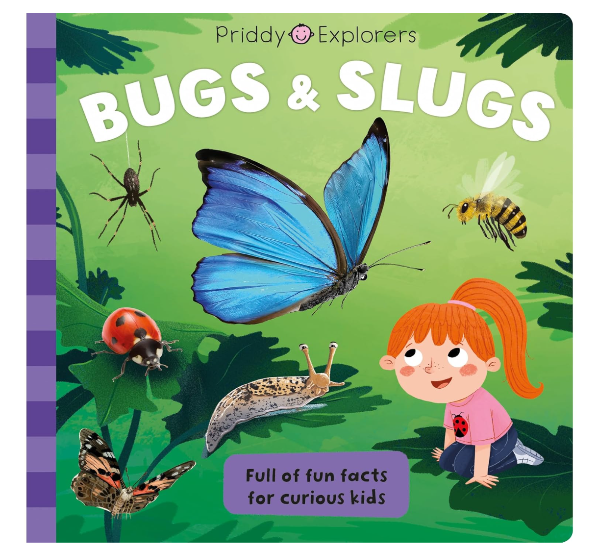 Priddy Explorers Bugs & Slugs