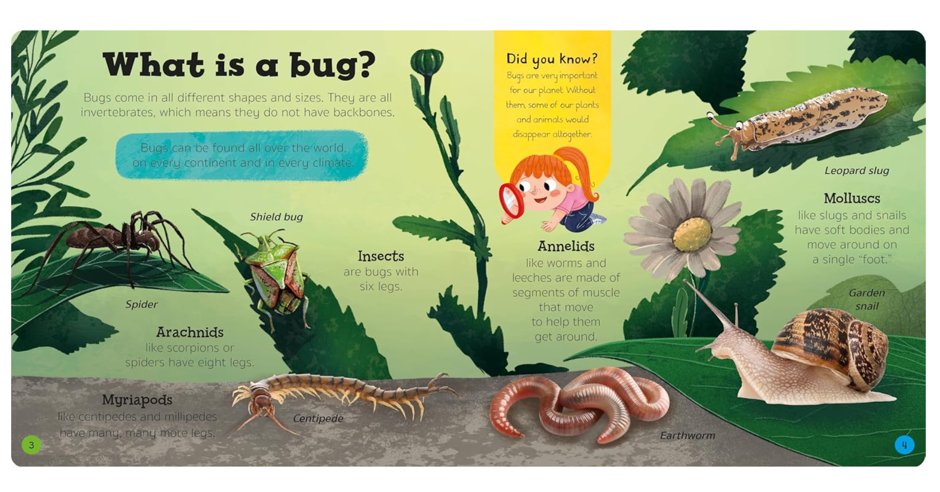 Priddy Explorers Bugs & Slugs