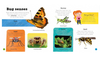 Priddy Explorers Bugs & Slugs