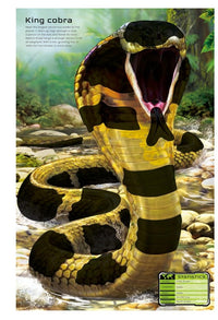 Usborne Build  Your Own Deadly Animals  Sticker Book