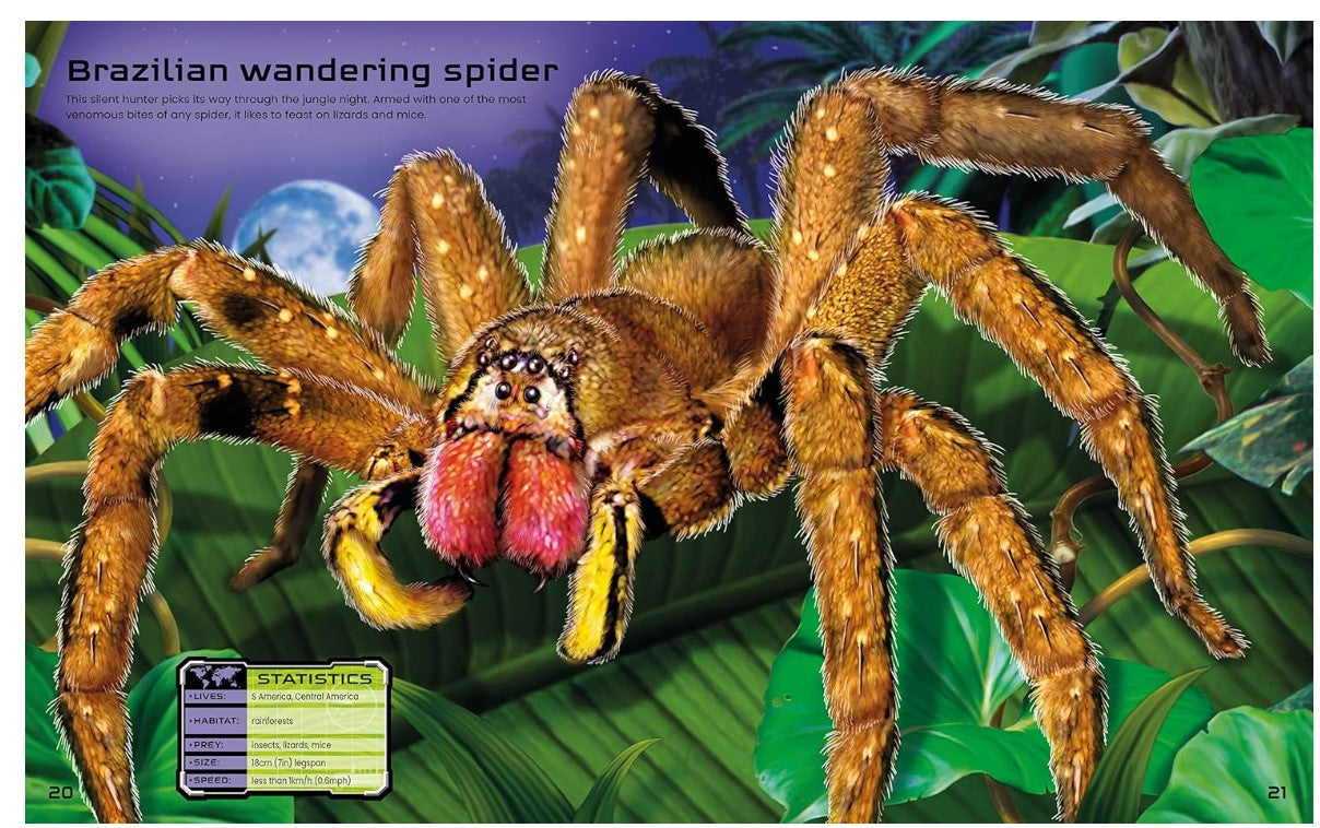 Usborne Build  Your Own Deadly Animals  Sticker Book