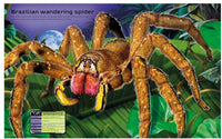 Usborne Build  Your Own Deadly Animals  Sticker Book