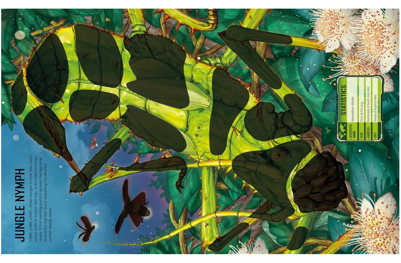 Usborne Build  Your Own Giant Bugs Sticker Book