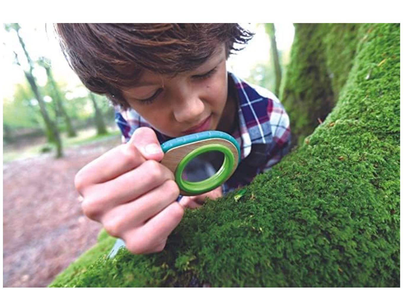 Hape Nature Detective Set