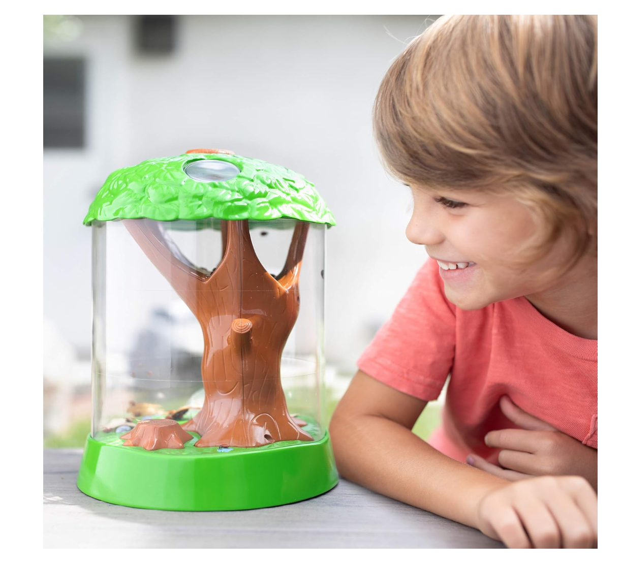 Educational Insights Ladybug Garden