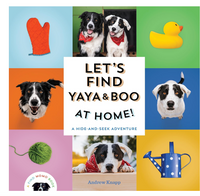 Andrew Knapp Let's Find Yaya and Boo at Home! A Hide-and-Seek Adventure