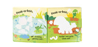 Peek-A-Boo Baby! Bath Book