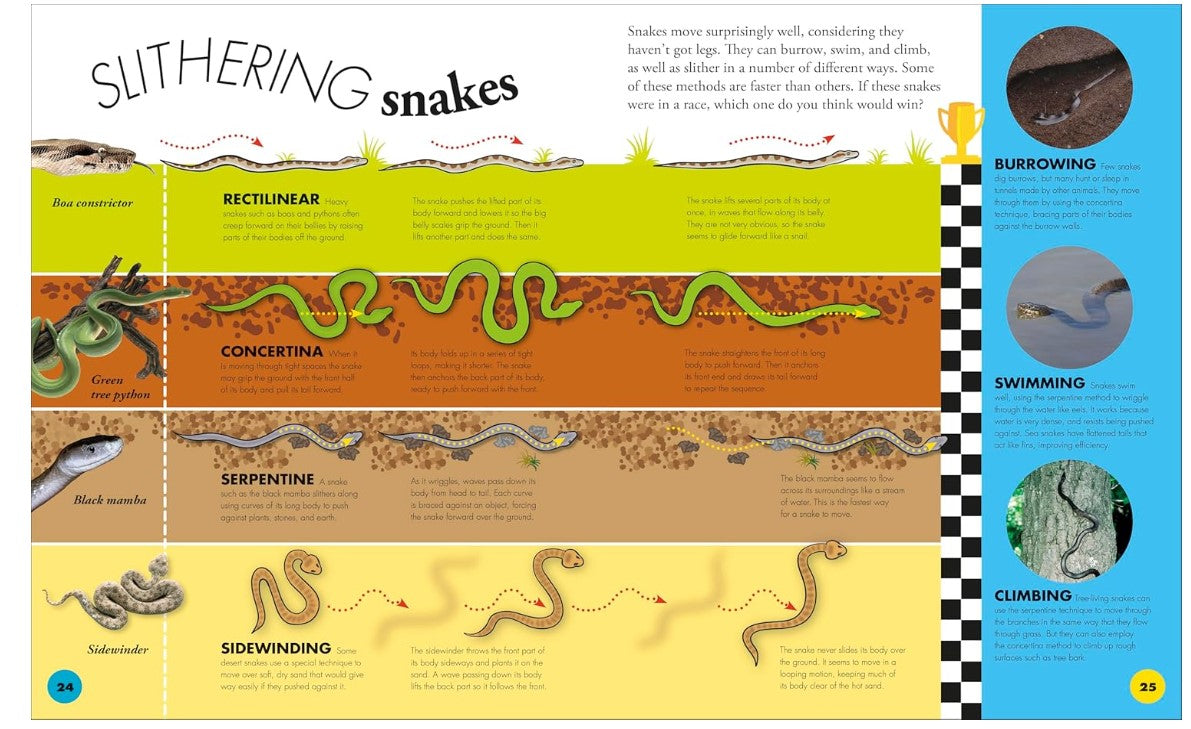 DK Everything You Need to Know About Snakes and Other Scaly Reptiles