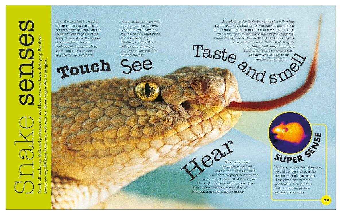 DK Everything You Need to Know About Snakes and Other Scaly Reptiles