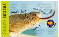 DK Everything You Need to Know About Snakes and Other Scaly Reptiles