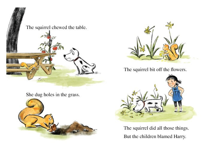 I Can Read: Level 1 Harry's Squirrel Trouble