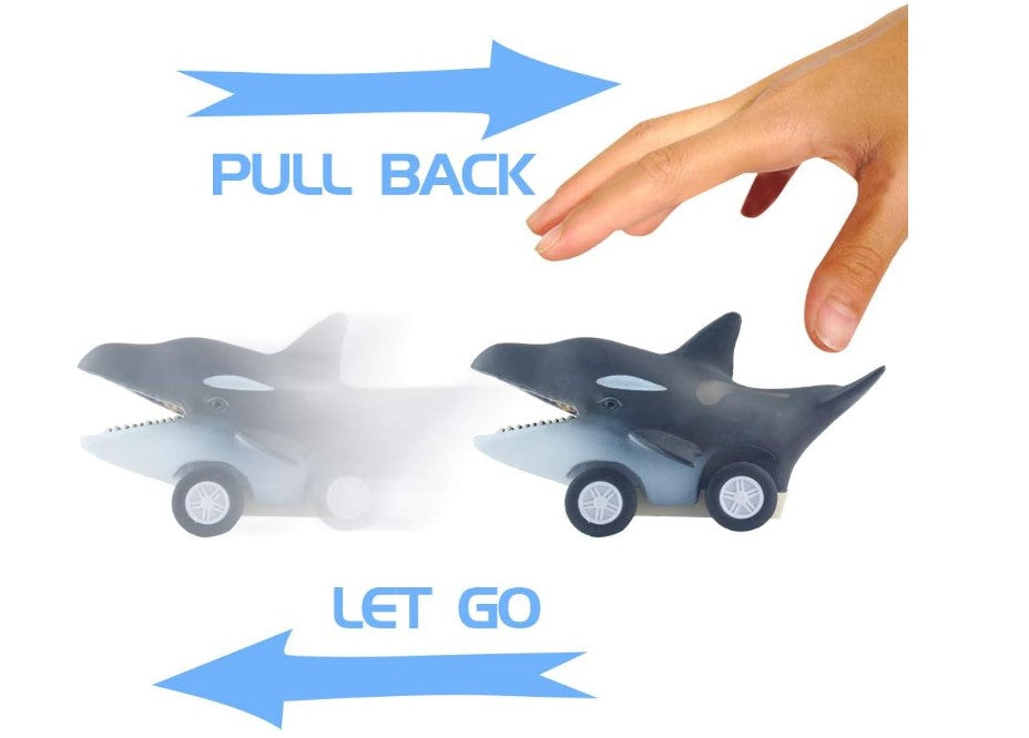Sea Animal Cars Pull Back