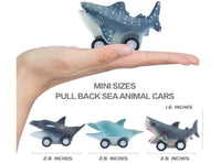 Sea Animal Cars Pull Back