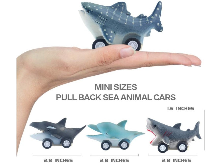Sea Animal Cars Pull Back