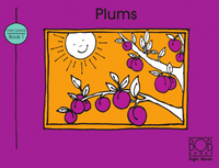 Bob's Books Sight Words First Grade Box Set | Phonics, Ages 4+ Flashcards (Stage 2: Emerging Reader)