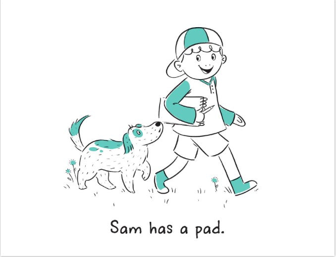 Bob's Books Beginning Phonics Flashcards | Phonics, Ages 4+ Kindergarten (Stage 1: Starting to Read)