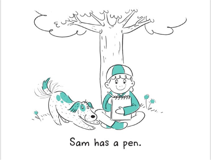 Bob's Books Beginning Phonics Flashcards | Phonics, Ages 4+ Kindergarten (Stage 1: Starting to Read)