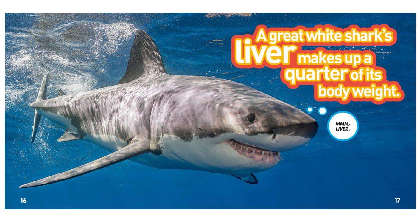 National Geographic Kids Weird But True Animals