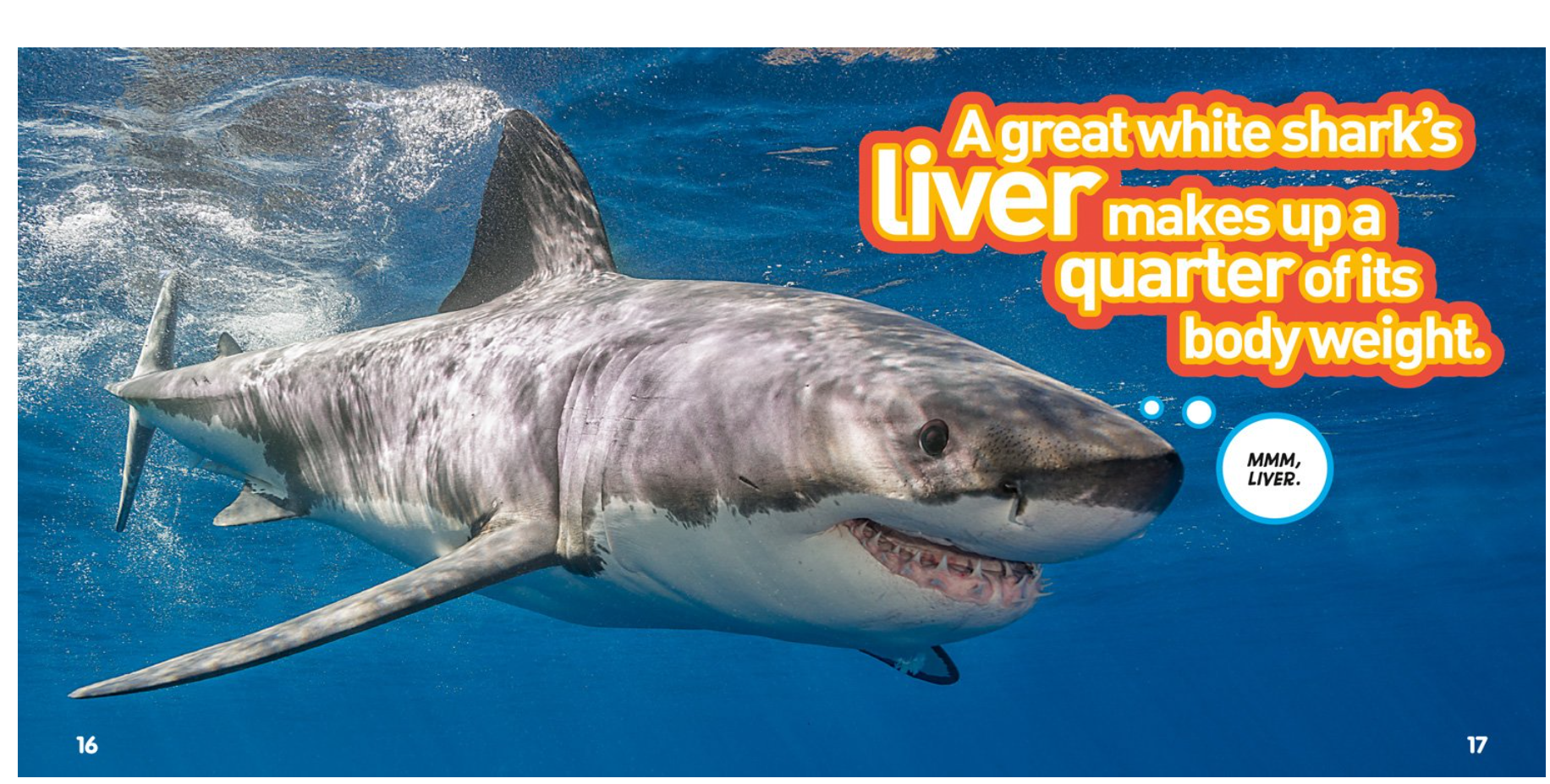 National Geographic Kids Weird But True Animals