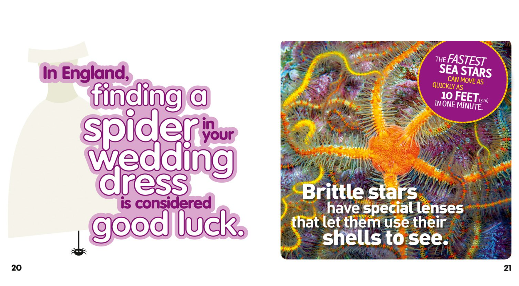 National Geographic Kids Weird But True Animals