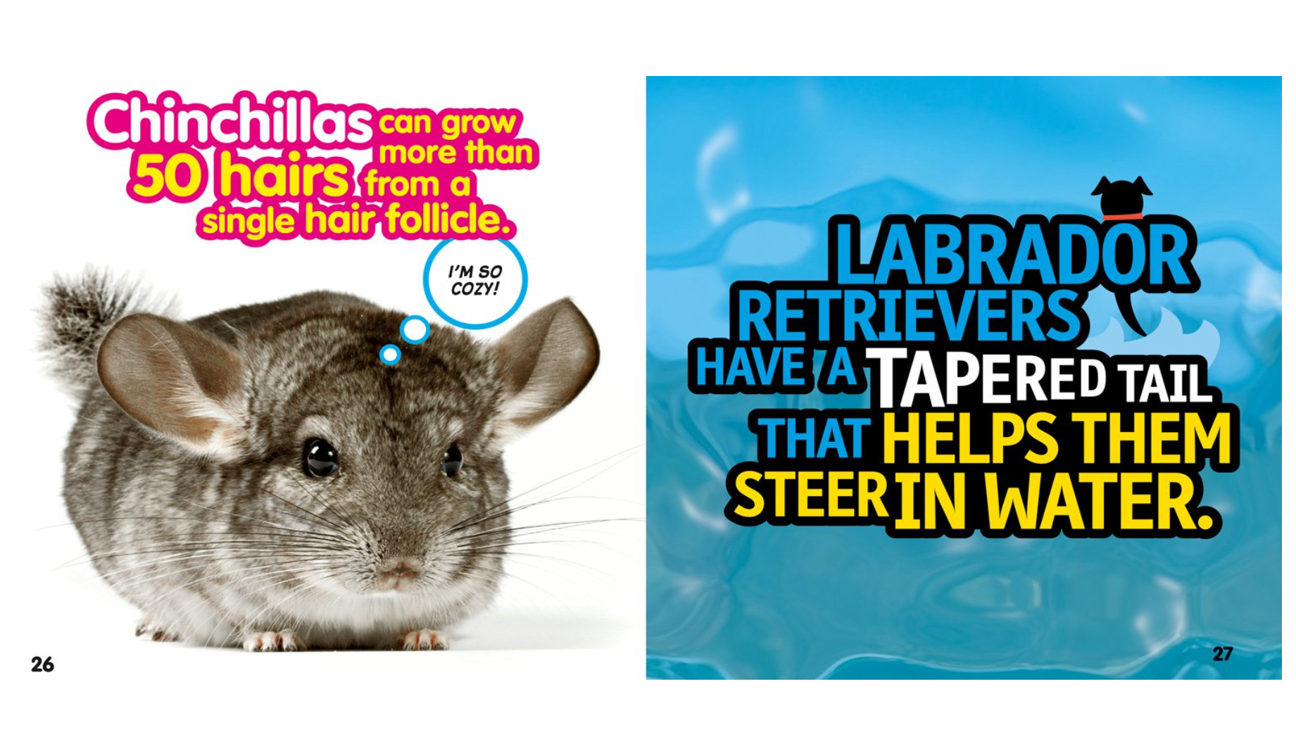 National Geographic Kids Weird But True Animals