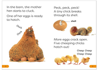 DK Super Readers Level 1 A Day on the Farm