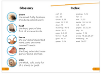 DK Super Readers Level 1 A Day on the Farm