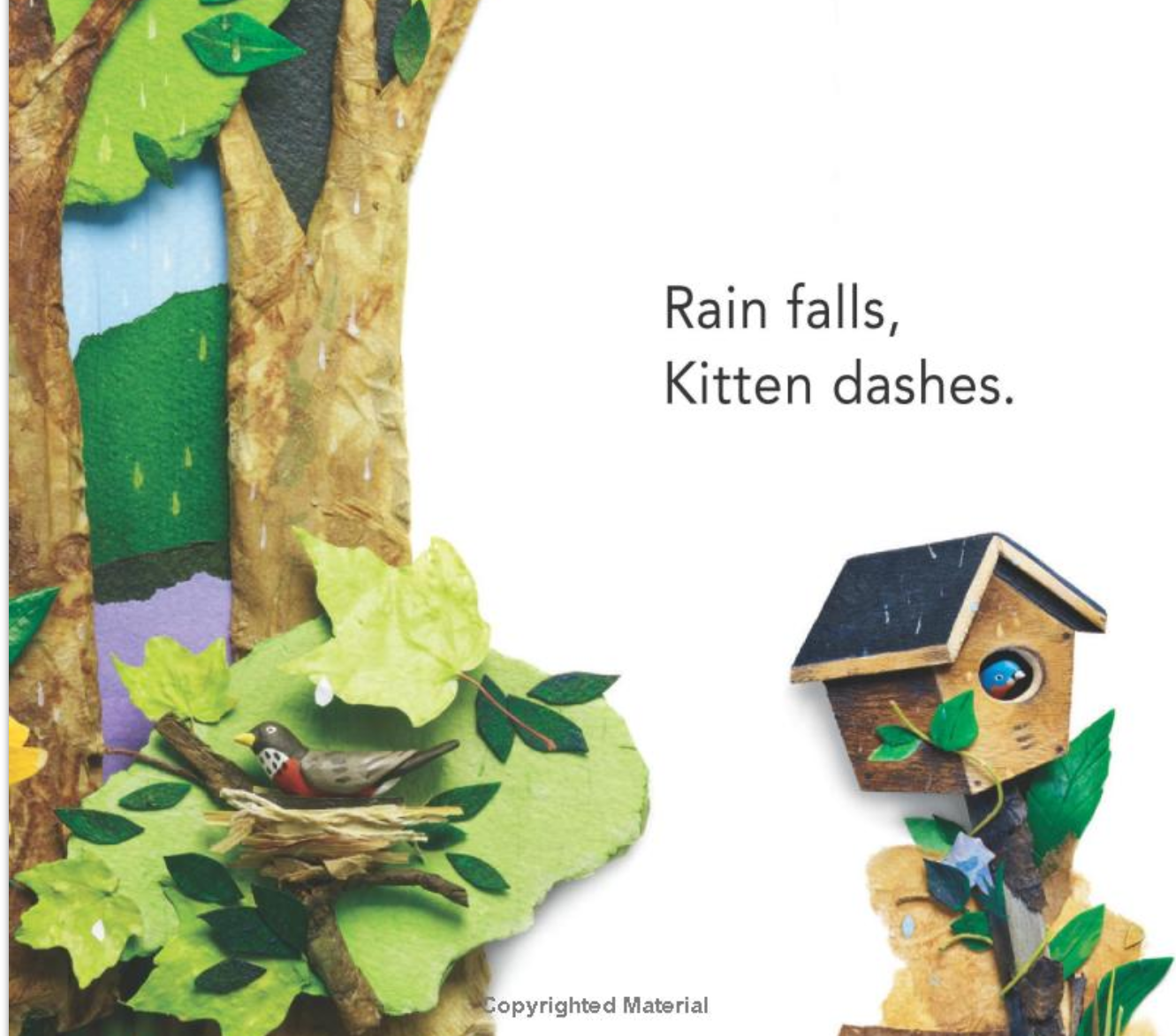 Eugene Fernandes Kittens Summer