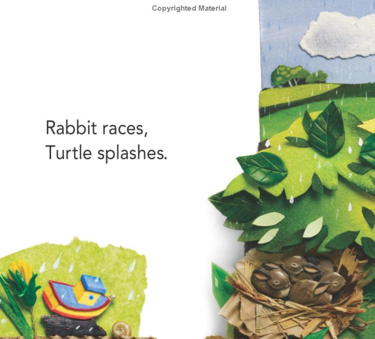 Eugene Fernandes Kittens Summer