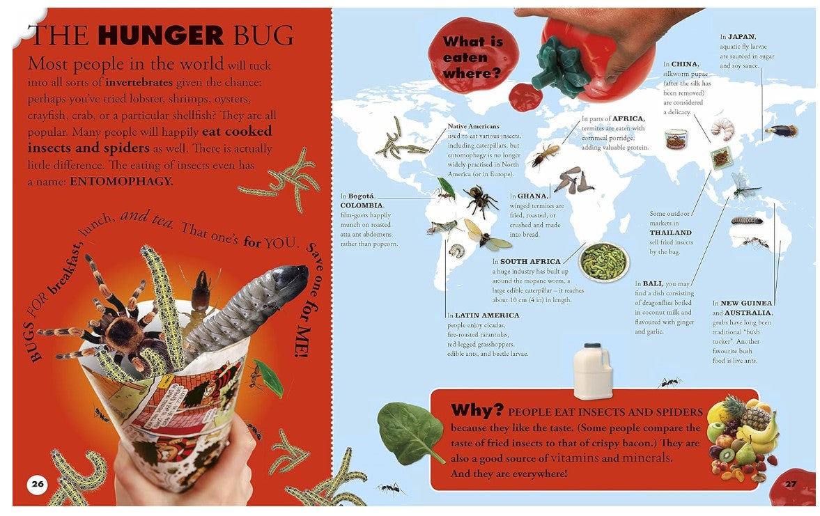 DK Everything You Need to Know About Bugs