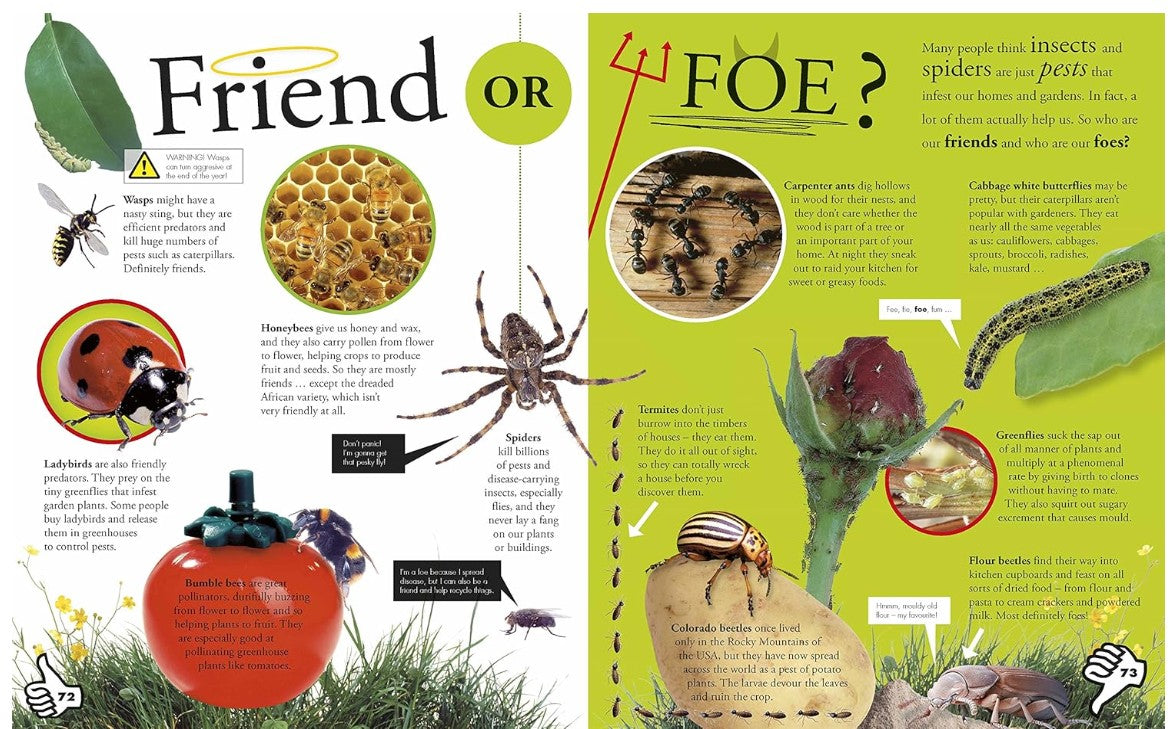 DK Everything You Need to Know About Bugs