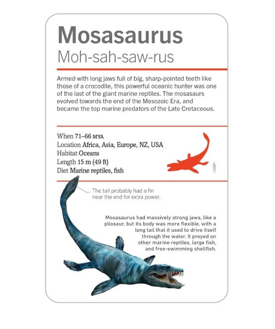 DK Smithsonian Dinosaurs and Other Prehistoric Creatures Flashcards